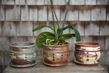 Load image into Gallery viewer, Orchid Pot