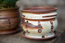 Load image into Gallery viewer, Orchid Pot