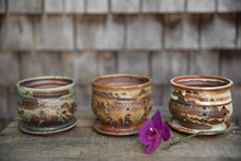 Load image into Gallery viewer, Orchid Pot