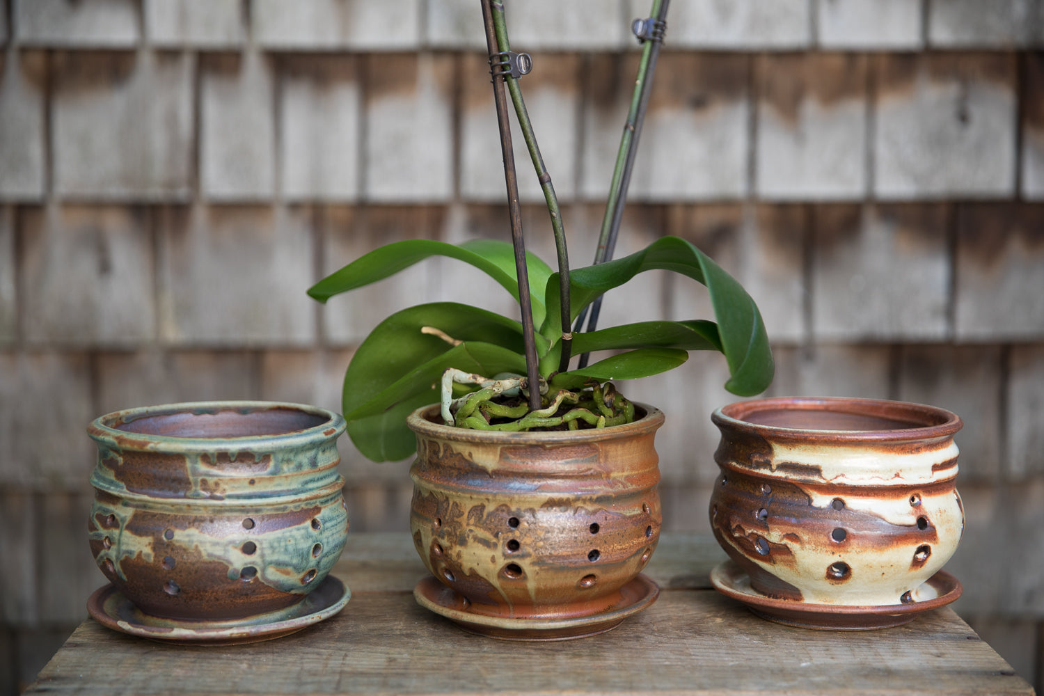 orchid planter pots Orchid Pot