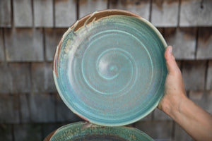 Entree Plate/Bowl