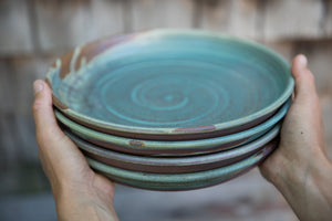 Entree Plate/Bowl